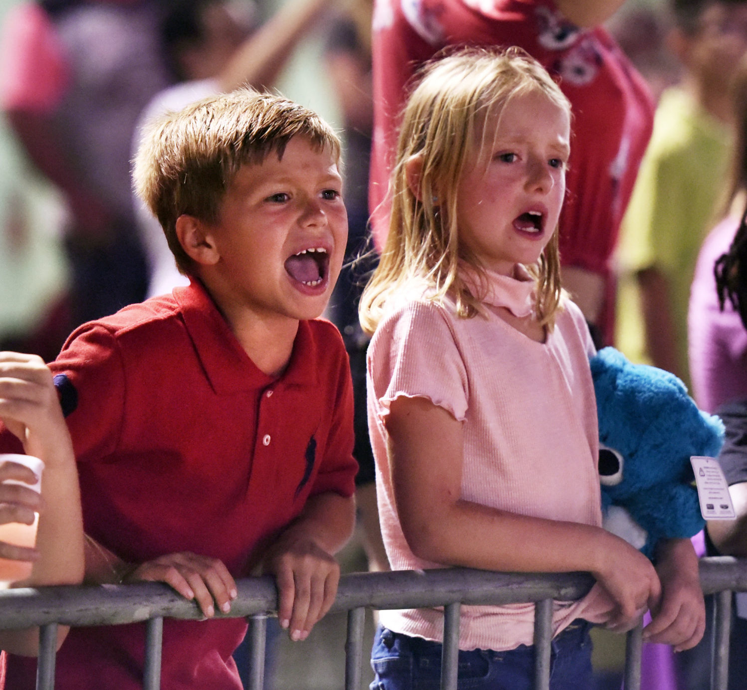 Dixie Classic Fair